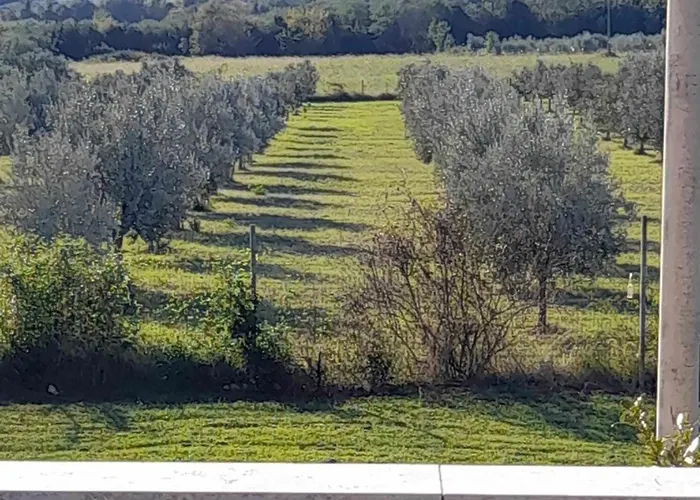 Smokvica Apartamento